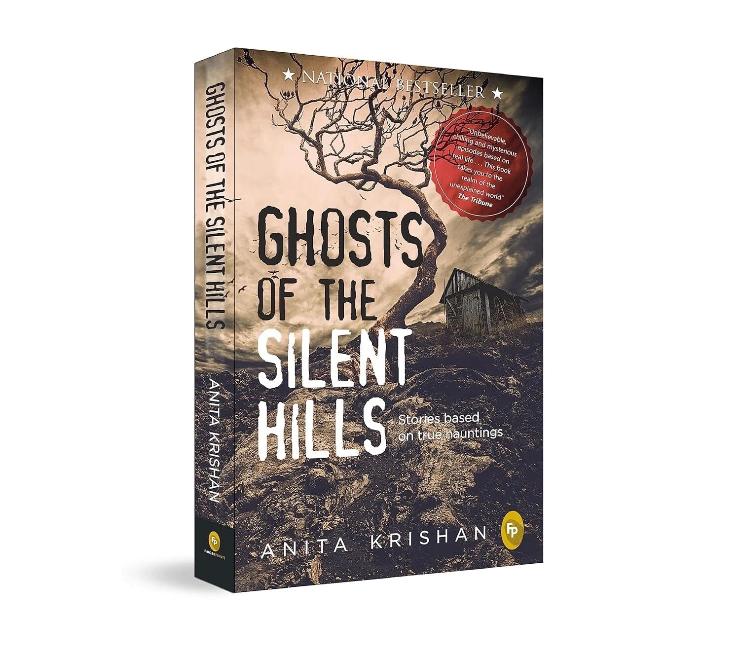 Ghosts of The Silent Hills || Stories based on true hauntings ||