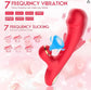 Vibrator Sex Toys For Women - 3IN1 Red Rabbit Vibrators