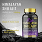SHILAJIT GUMMIES 60&