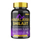SHILAJIT GUMMIES 60&