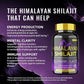 SHILAJIT GUMMIES 60&