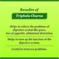 Baidyanath Asli Ayurved Triphala Churna 500 g (Pack of 2)