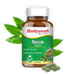 Baidyanath Neem 60 Tablets (250mg / Per Serving)