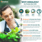 5 X Himalaya Wellness Pure Herbs Amalaki Immunity Wellness Pack of 60 Tablets