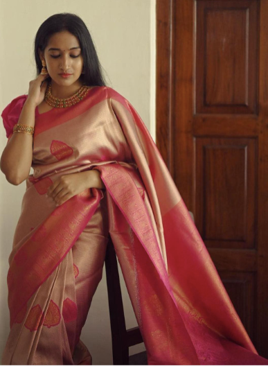 Woman wearing a traditional saree with a red and pink design against a wooden door background