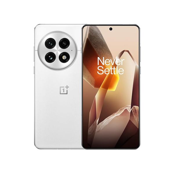 OnePlus 13 unlocked (Arctic Dawn, 256 GB)  (12 GB RAM)