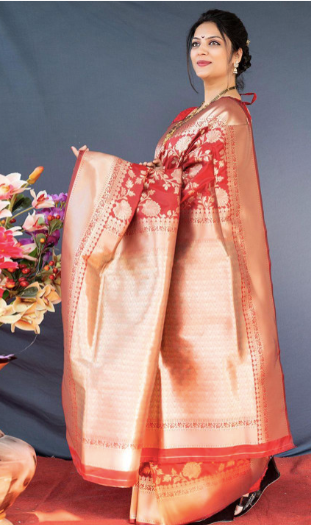 Embroderid Saree With Beautiful Blouse