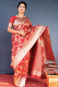 Embroderid Saree With Beautiful Blouse
