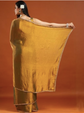 Women Zari Chanderi Saree