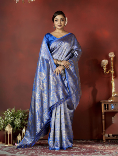 Woman wearing a blue saree with a red background