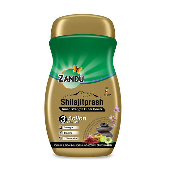 Zandu Shilajitprash | Dual Goodness of Chyawanprash & Shilajit/Shilajeet 450g
