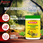 Baidyanath Ashwagandha Churna Made with 100% Pure Ashwagandha - 100g (Pack of 2)